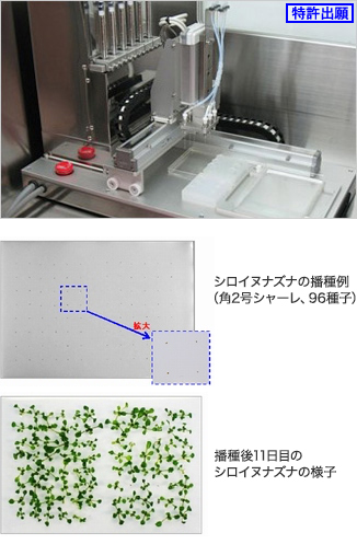 自動種まき機（アクアシード）