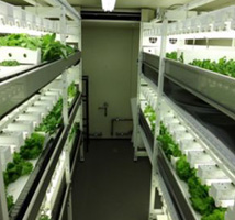 研究用植物栽培ユニット事業