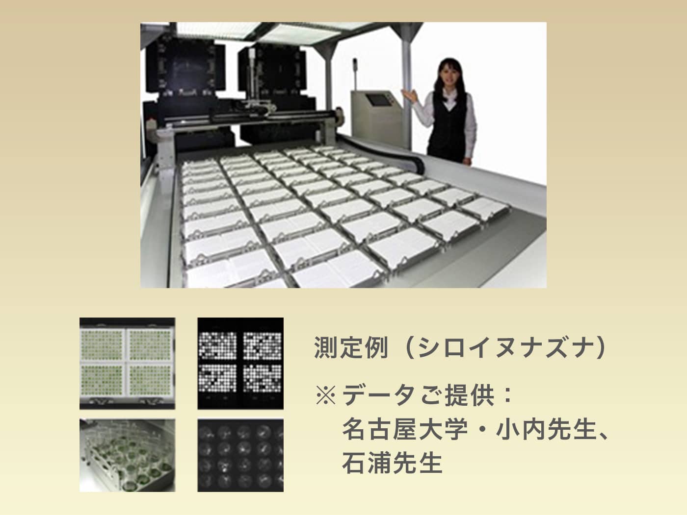 画像:ハイスループット 生物発光測定装置