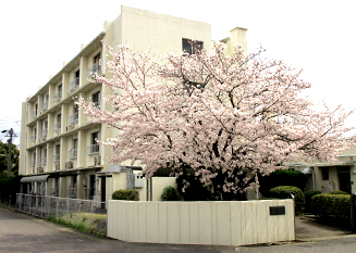 写真：独身寮